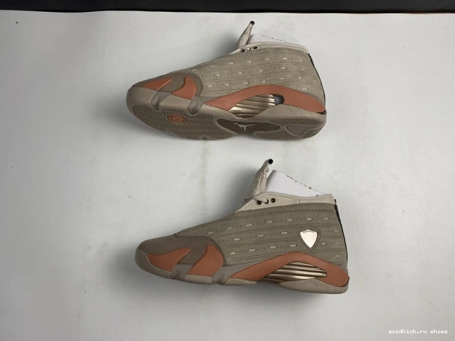 Terra Blush 14 DC9857-200 AIR Retro Jordan Clot Low 0714